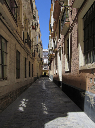 Picture